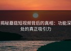 揭秘蘑菇短视频背后的真相：功能深处的真正吸引力