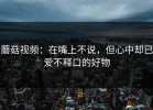 蘑菇视频：在嘴上不说，但心中却已爱不释口的好物