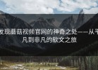发现蘑菇视频官网的神奇之处——从平凡到非凡的软文之旅