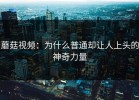 蘑菇视频：为什么普通却让人上头的神奇力量
