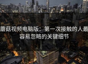 蘑菇视频电脑版：第一次接触的人最容易忽略的关键细节