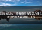 别急着划走，蘑菇视频电脑版为什么刚接触的人容易停不下来