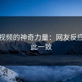 蘑菇视频的神奇力量：网友反应竟如此一致