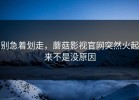 别急着划走，蘑菇影视官网突然火起来不是没原因