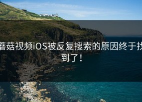 蘑菇视频iOS被反复搜索的原因终于找到了！