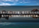 原来问题出在这里，蘑菇影视在线观看为什么刚接触的人容易停不下来