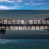 原来问题出在这里，蘑菇影视在线观看为什么刚接触的人容易停不下来