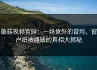 蘑菇视频官网：一场意外的冒险，窗户纸被捅破的真相大揭秘