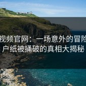 蘑菇视频官网：一场意外的冒险，窗户纸被捅破的真相大揭秘