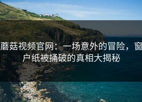 蘑菇视频官网：一场意外的冒险，窗户纸被捅破的真相大揭秘