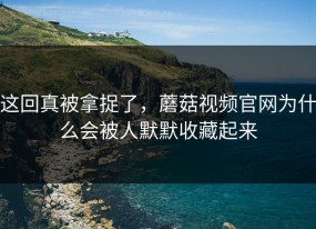 这回真被拿捉了，蘑菇视频官网为什么会被人默默收藏起来
