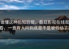 谁懂这种后知后觉，蘑菇影视在线观看，一直有人问到底是不是被低估了？