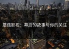 蘑菇影视：幕后的故事与你的关注
