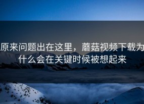 原来问题出在这里，蘑菇视频下载为什么会在关键时候被想起来