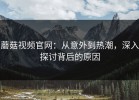 蘑菇视频官网：从意外到热潮，深入探讨背后的原因