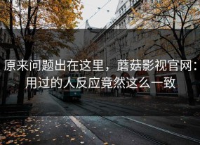 原来问题出在这里，蘑菇影视官网：用过的人反应竟然这么一致
