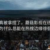 这回真被拿捏了，蘑菇影视在线观看为什么总能在热搜边缘徘徊
