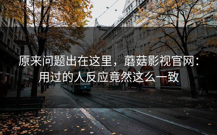 原来问题出在这里，蘑菇影视官网：用过的人反应竟然这么一致