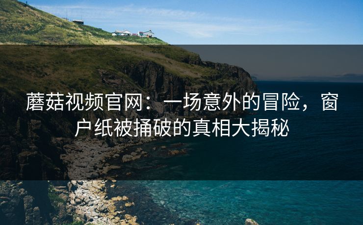 蘑菇视频官网：一场意外的冒险，窗户纸被捅破的真相大揭秘