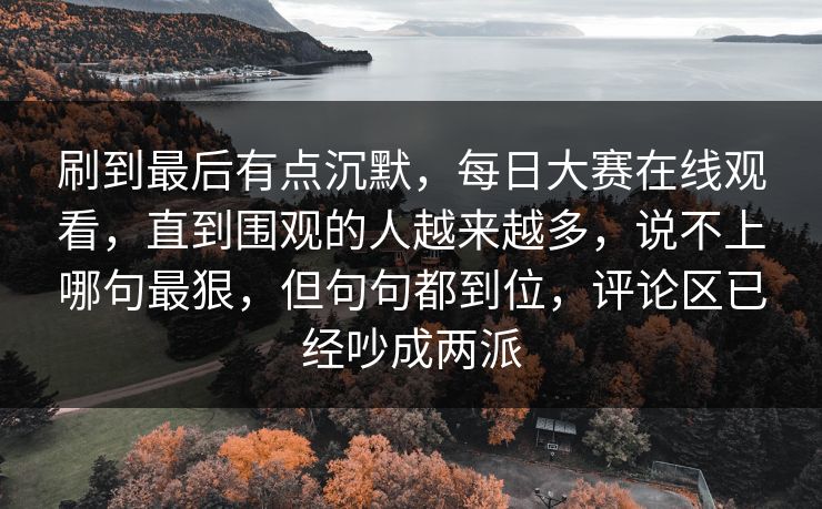 刷到最后有点沉默，每日大赛在线观看，直到围观的人越来越多，说不上哪句最狠，但句句都到位，评论区已经吵成两派