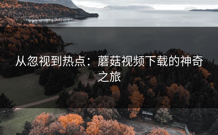 从忽视到热点：蘑菇视频下载的神奇之旅