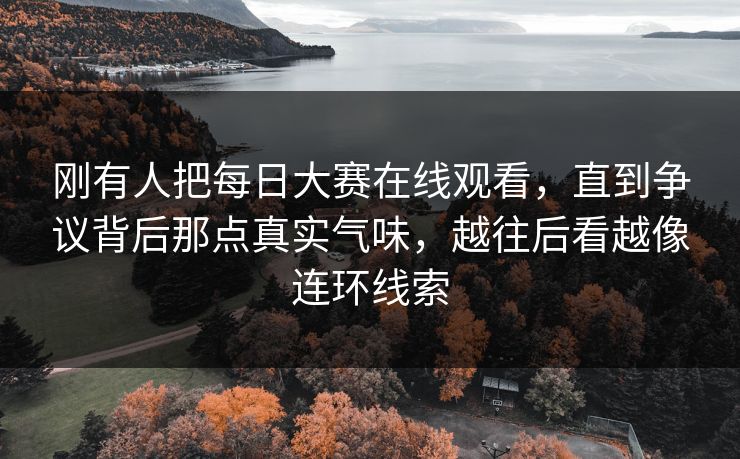 刚有人把每日大赛在线观看，直到争议背后那点真实气味，越往后看越像连环线索
