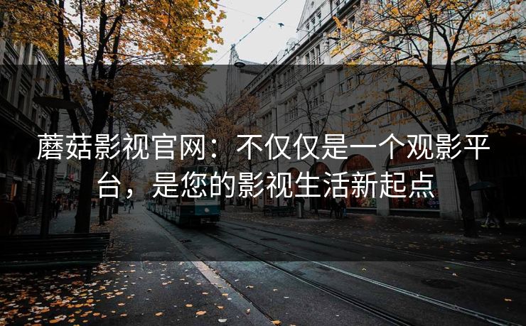 蘑菇影视官网：不仅仅是一个观影平台，是您的影视生活新起点