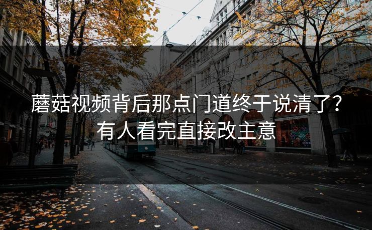 蘑菇视频背后那点门道终于说清了？有人看完直接改主意