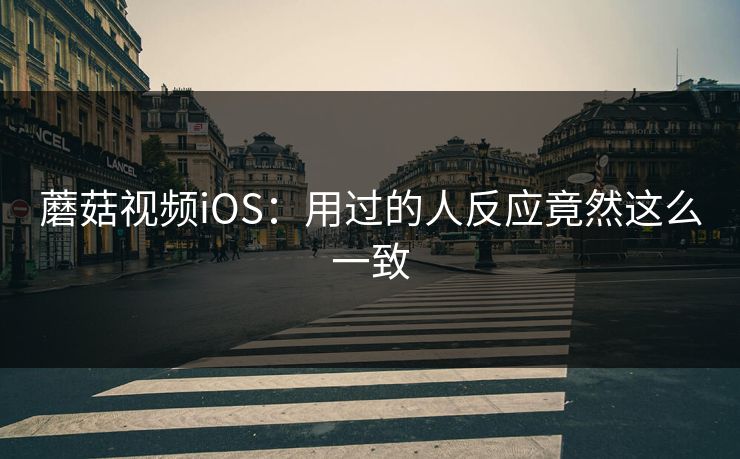 蘑菇视频iOS：用过的人反应竟然这么一致