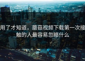 用了才知道，蘑菇视频下载第一次接触的人最容易忽略什么