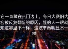 它一直藏在热门边上，每日大赛旧内容被反复翻新的原因，懂的人一眼就知道哪里不一样，这波节奏明显不一样