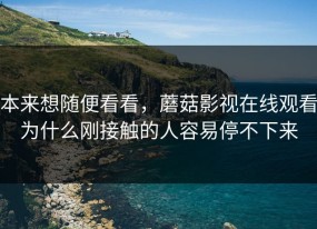 本来想随便看看，蘑菇影视在线观看为什么刚接触的人容易停不下来
