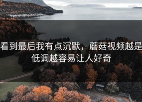 看到最后我有点沉默，蘑菇视频越是低调越容易让人好奇