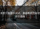 本意只是随手试试，蘑菇影视的秘密终于揭晓