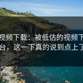 蘑菇视频下载：被低估的视频下载平台，这一下真的说到点上了