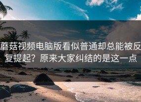 蘑菇视频电脑版看似普通却总能被反复提起？原来大家纠结的是这一点