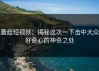蘑菇短视频：揭秘这次一下击中大众好奇心的神奇之处