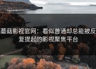 蘑菇影视官网：看似普通却总能被反复提起的影视聚焦平台