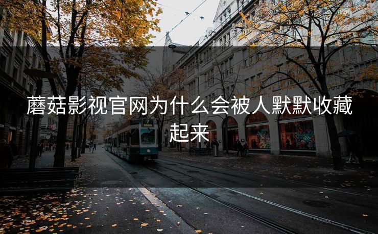 蘑菇影视官网为什么会被人默默收藏起来