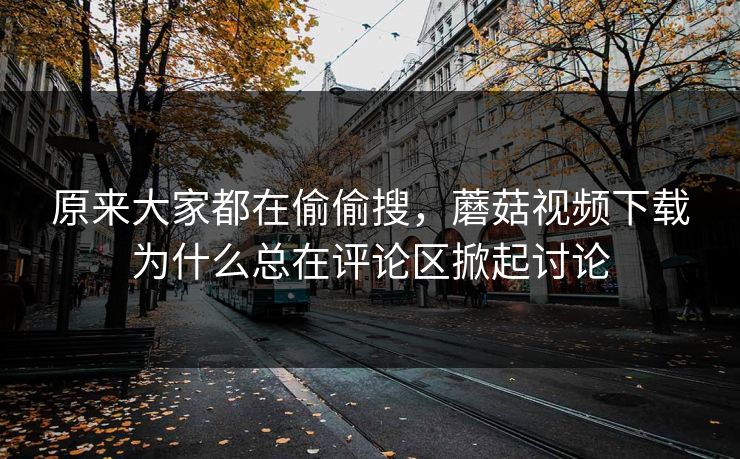 原来大家都在偷偷搜，蘑菇视频下载为什么总在评论区掀起讨论
