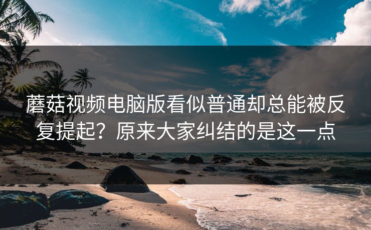 蘑菇视频电脑版看似普通却总能被反复提起？原来大家纠结的是这一点