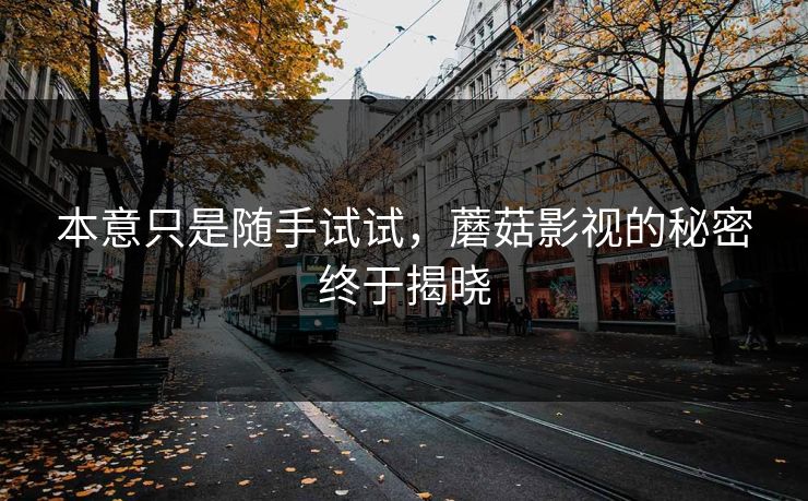 本意只是随手试试，蘑菇影视的秘密终于揭晓