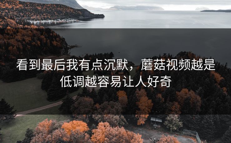 看到最后我有点沉默，蘑菇视频越是低调越容易让人好奇