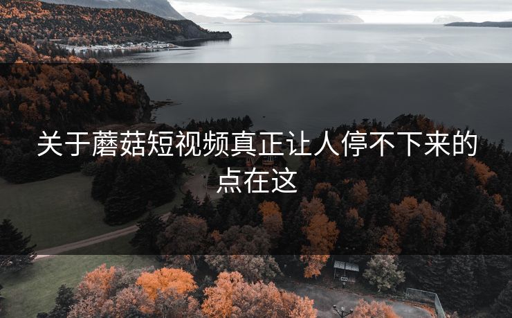 关于蘑菇短视频真正让人停不下来的点在这 关于蘑菇短视频真正让人停不下来的点在这