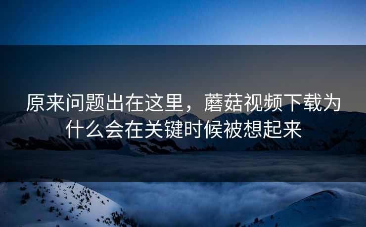 原来问题出在这里，蘑菇视频下载为什么会在关键时候被想起来